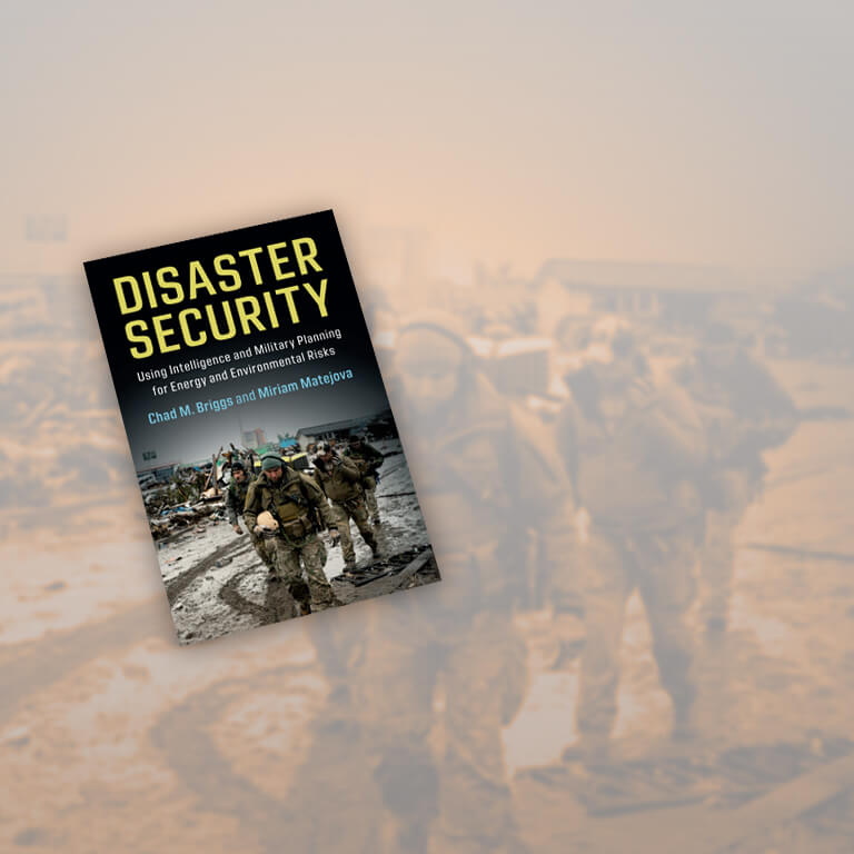 Cover of Disaster Security: Using Intelligence and Military Planning for Energy and Environmental Risks